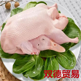 白条鸭